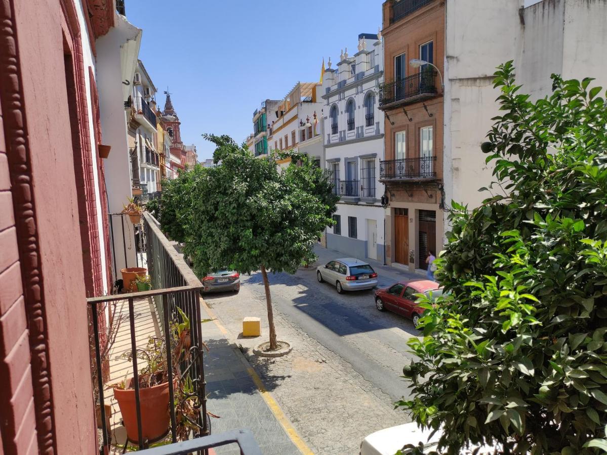 Almona Junto Al Rio - Kainga Homes Seville Luaran gambar